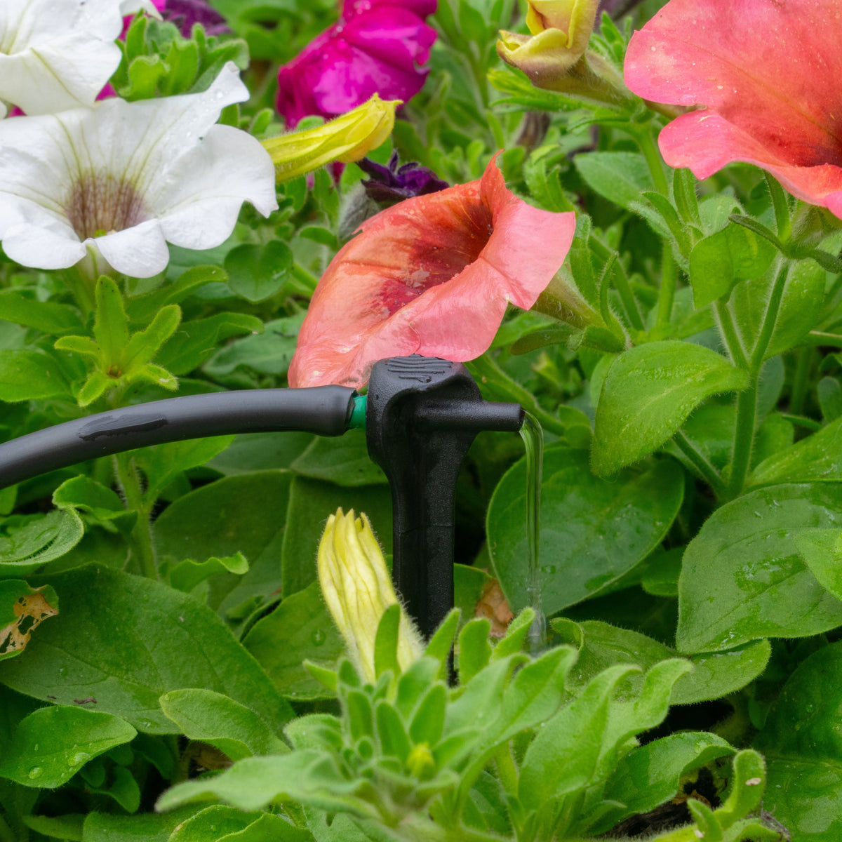 8 L/H Pressure-Compensating Plant Dripper Spike