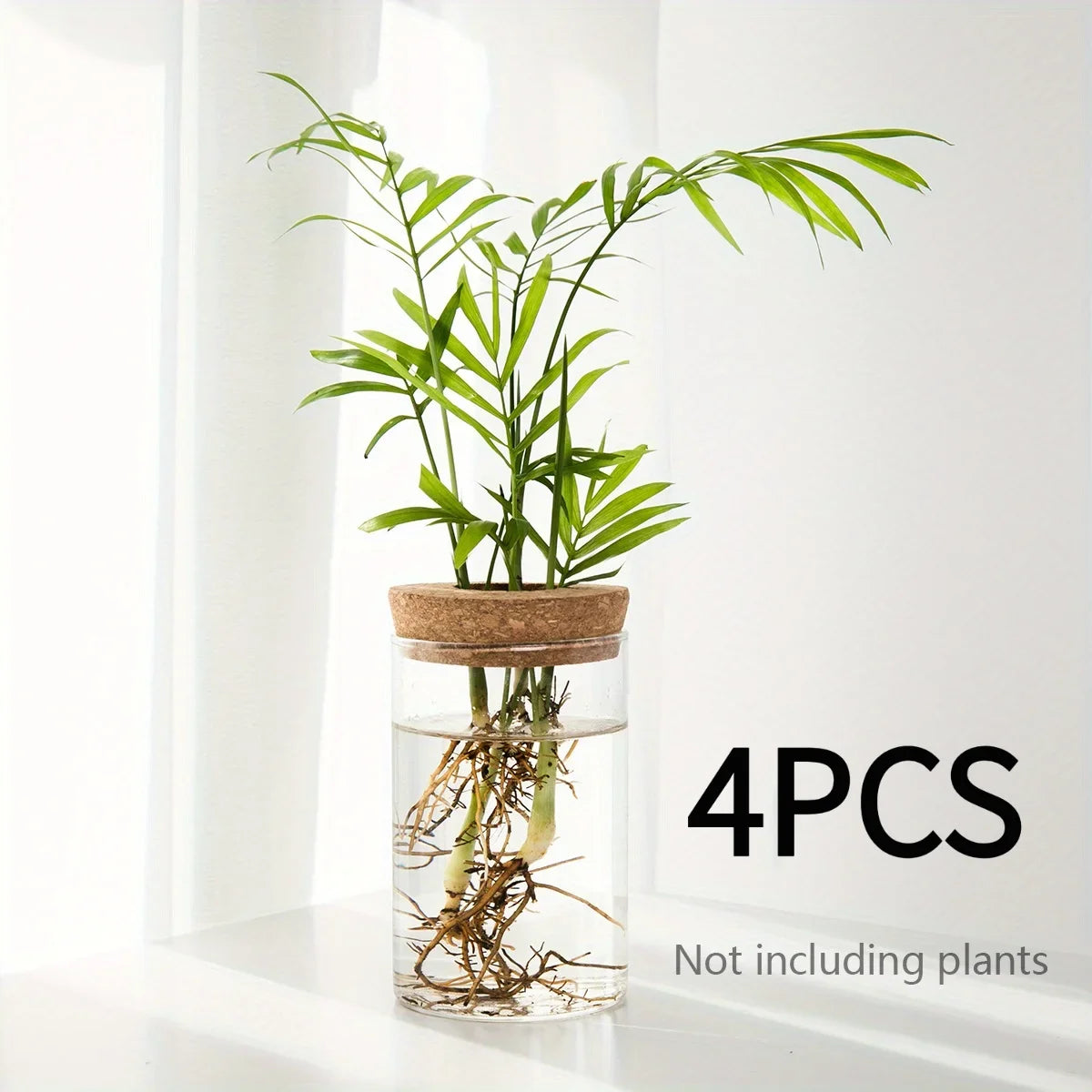 Glass Propagation Vase with Cork Lid
