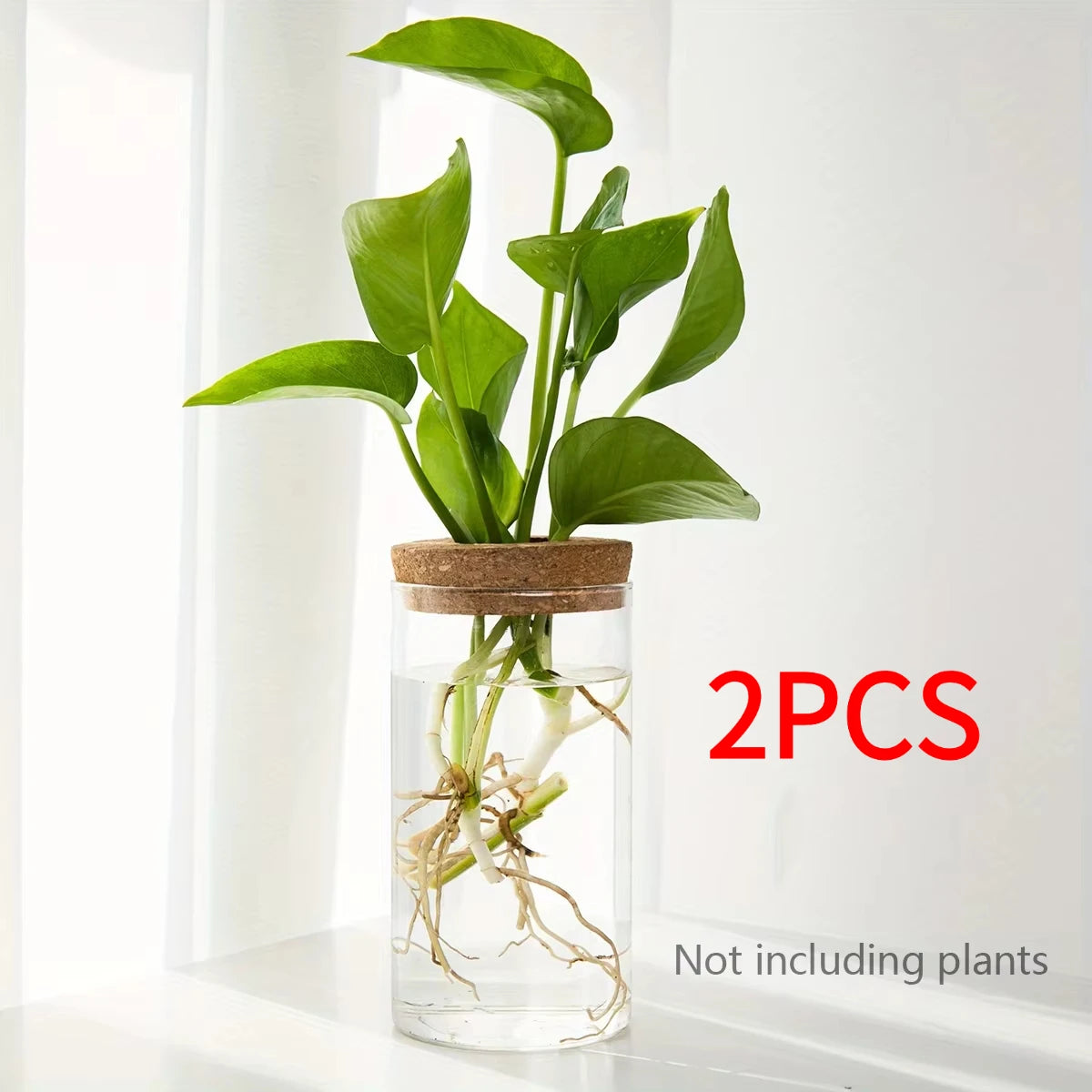 Glass Propagation Vase with Cork Lid