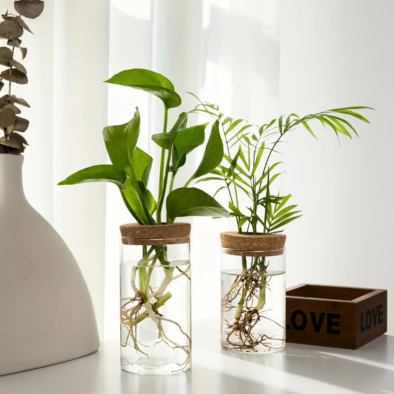 Glass Propagation Vase with Cork Lid