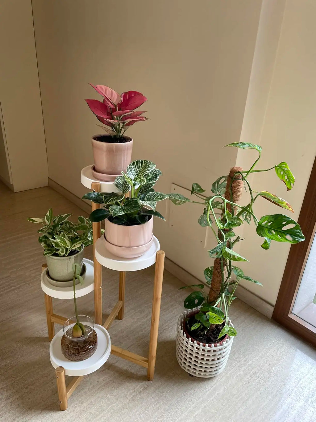 Four-Tier Bamboo Plant Stand for Small Spaces