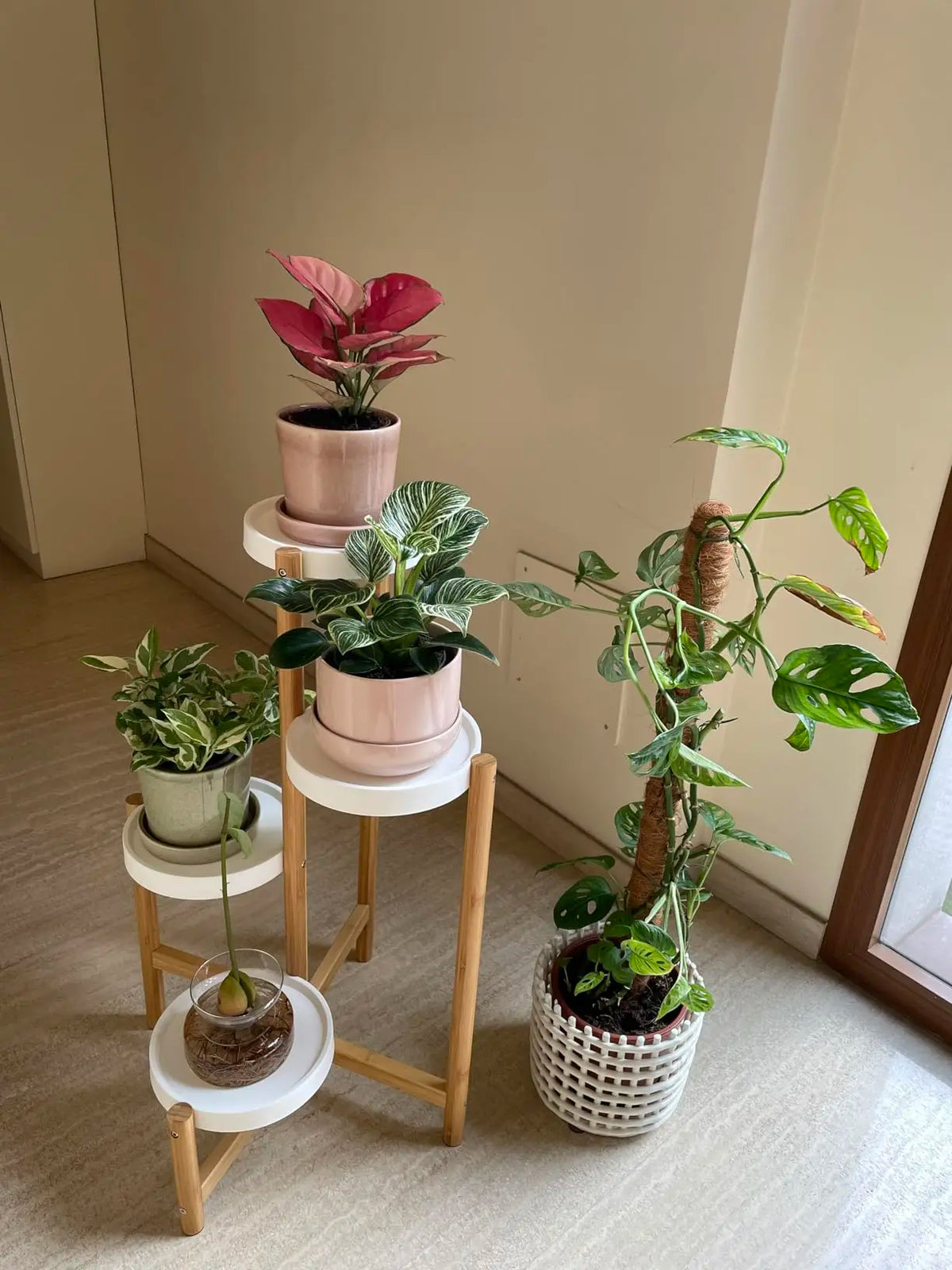 Four-Tier Bamboo Plant Stand for Small Spaces
