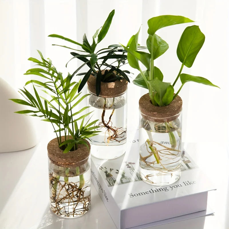 Glass Propagation Vase with Cork Lid