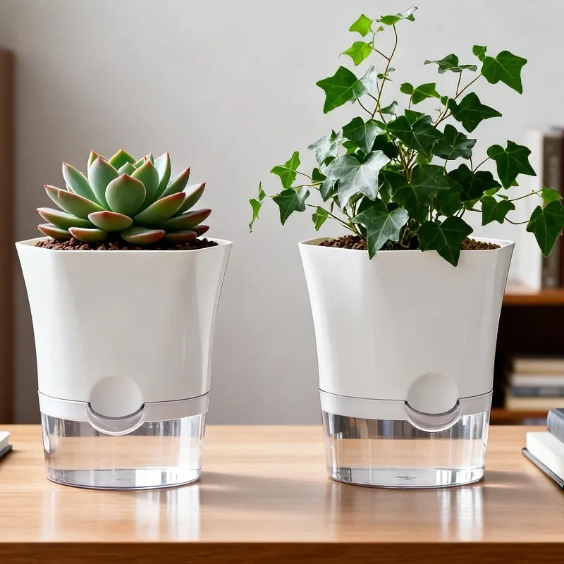 Self-watering pots with clear water reservoirs planted with a succulent and ivy
