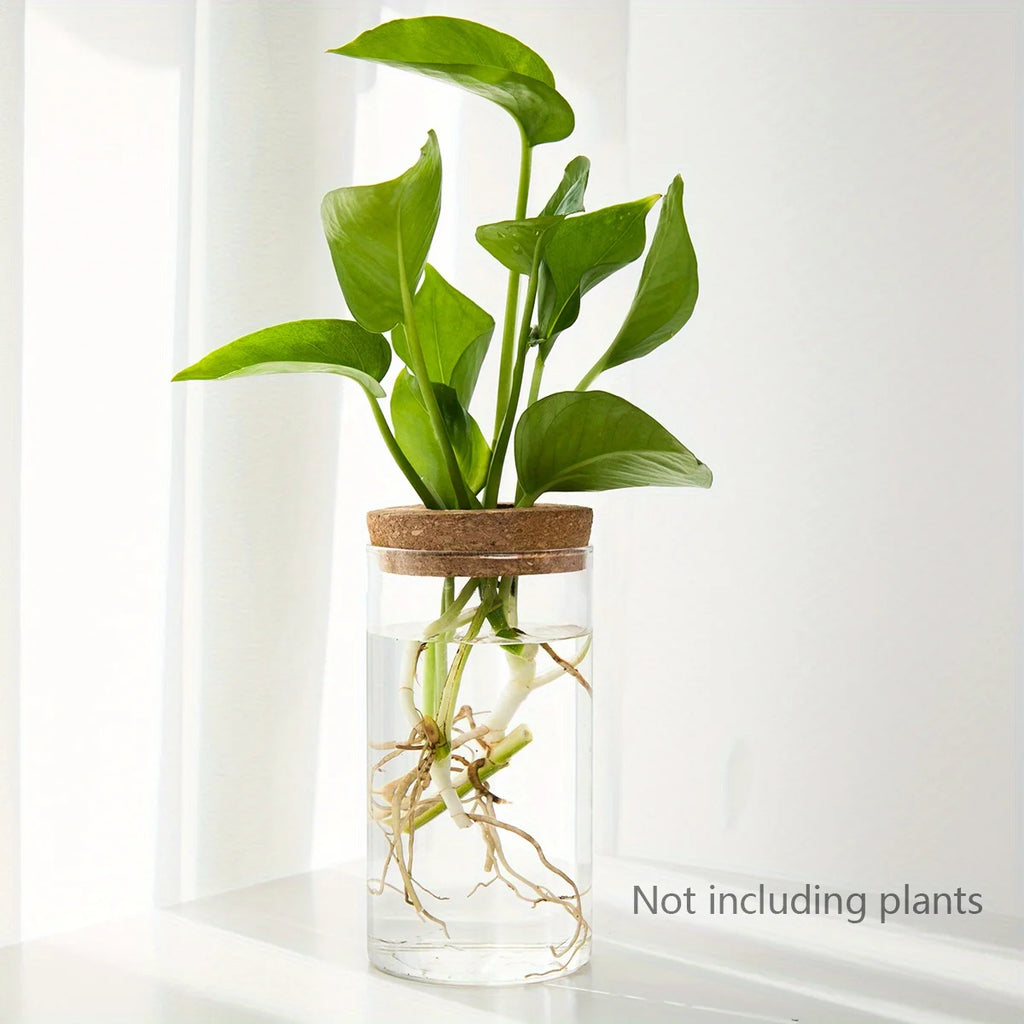 Glass Propagation Vase with Cork Lid