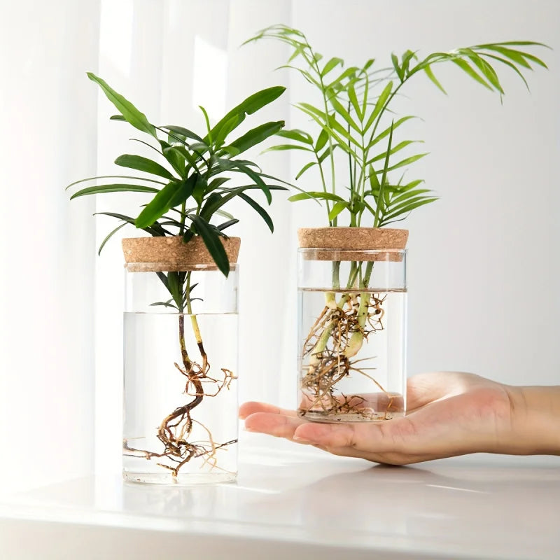 Glass Propagation Vase with Cork Lid