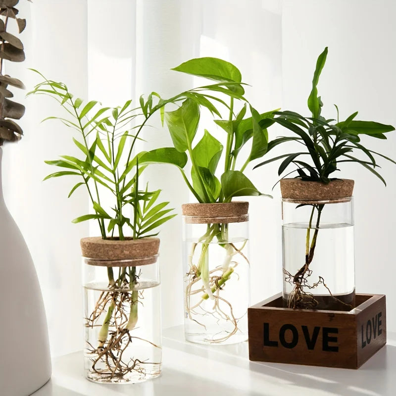 Glass Propagation Vase with Cork Lid