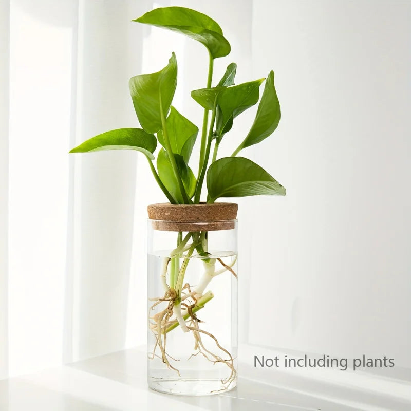 Glass Propagation Vase with Cork Lid