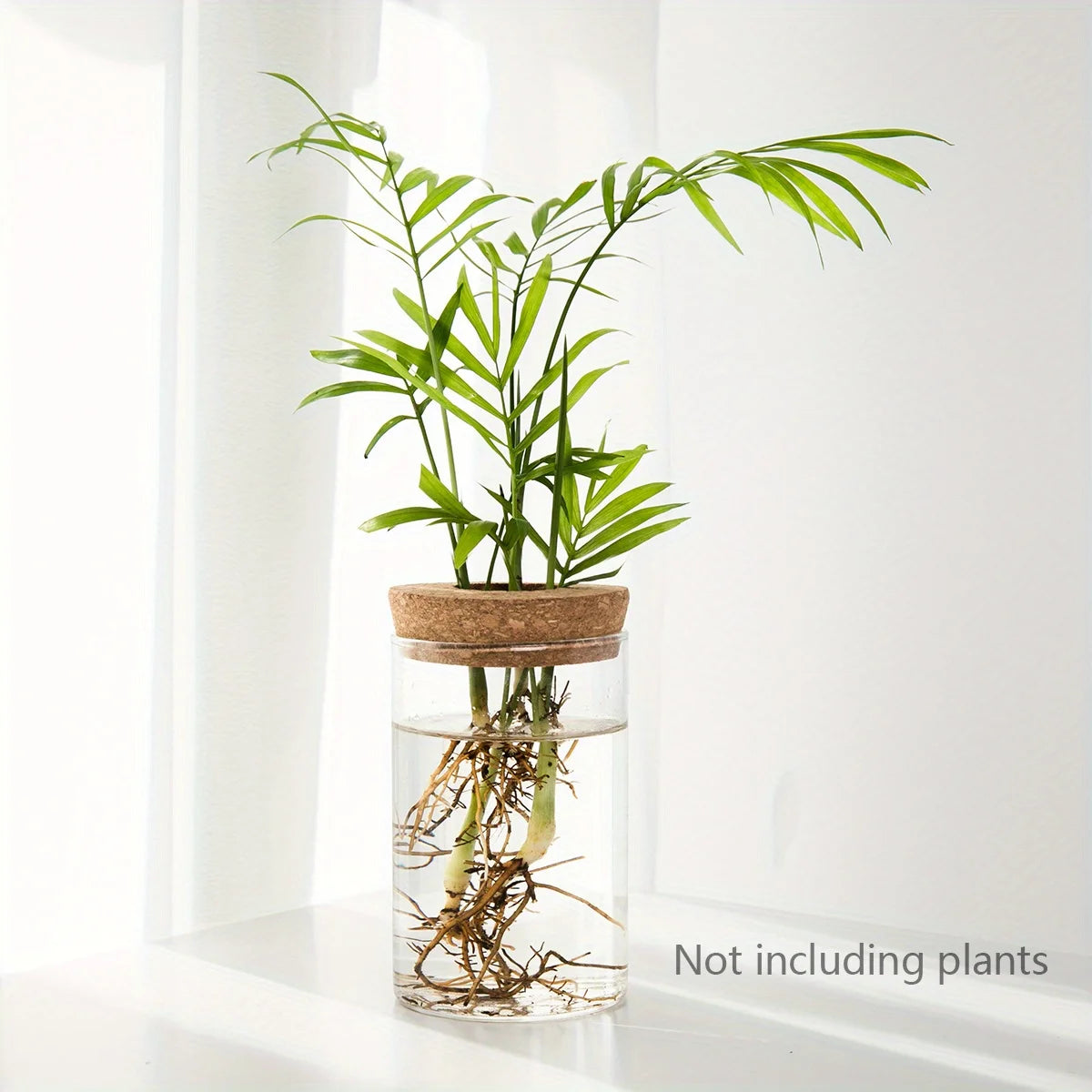 Glass Propagation Vase with Cork Lid