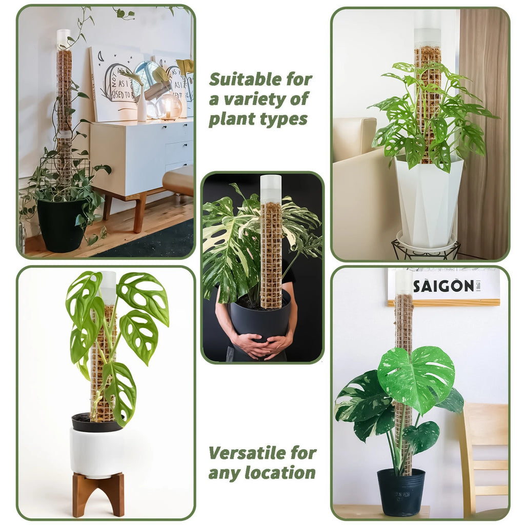Self-Watering Moss Pole – Stackable, 37cm