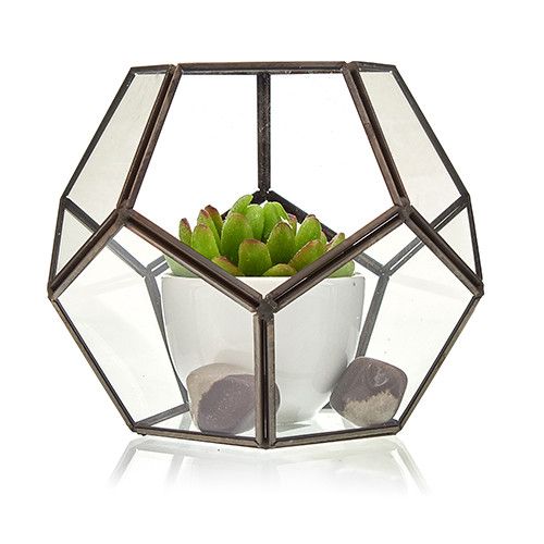 Octagonal Glass Terrarium with Brass Frame