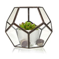 Octagonal Glass Terrarium with Brass Frame