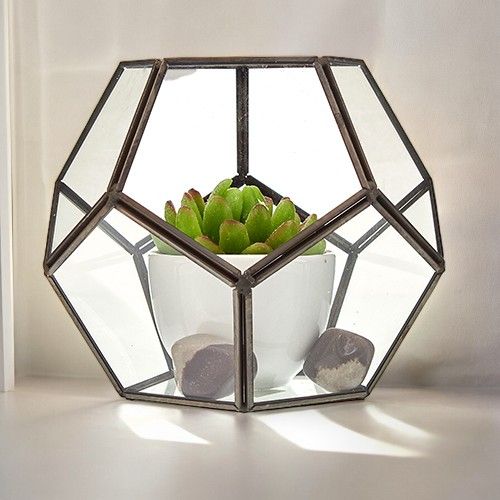 Octagonal Glass Terrarium with Brass Frame